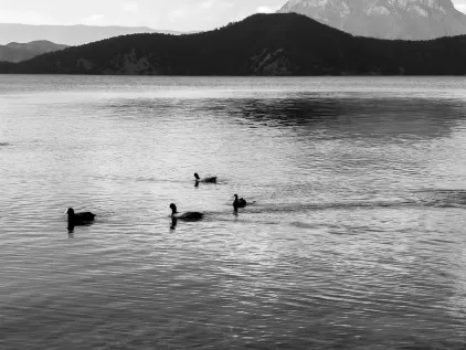 Casino Midas Mobiilirakendus